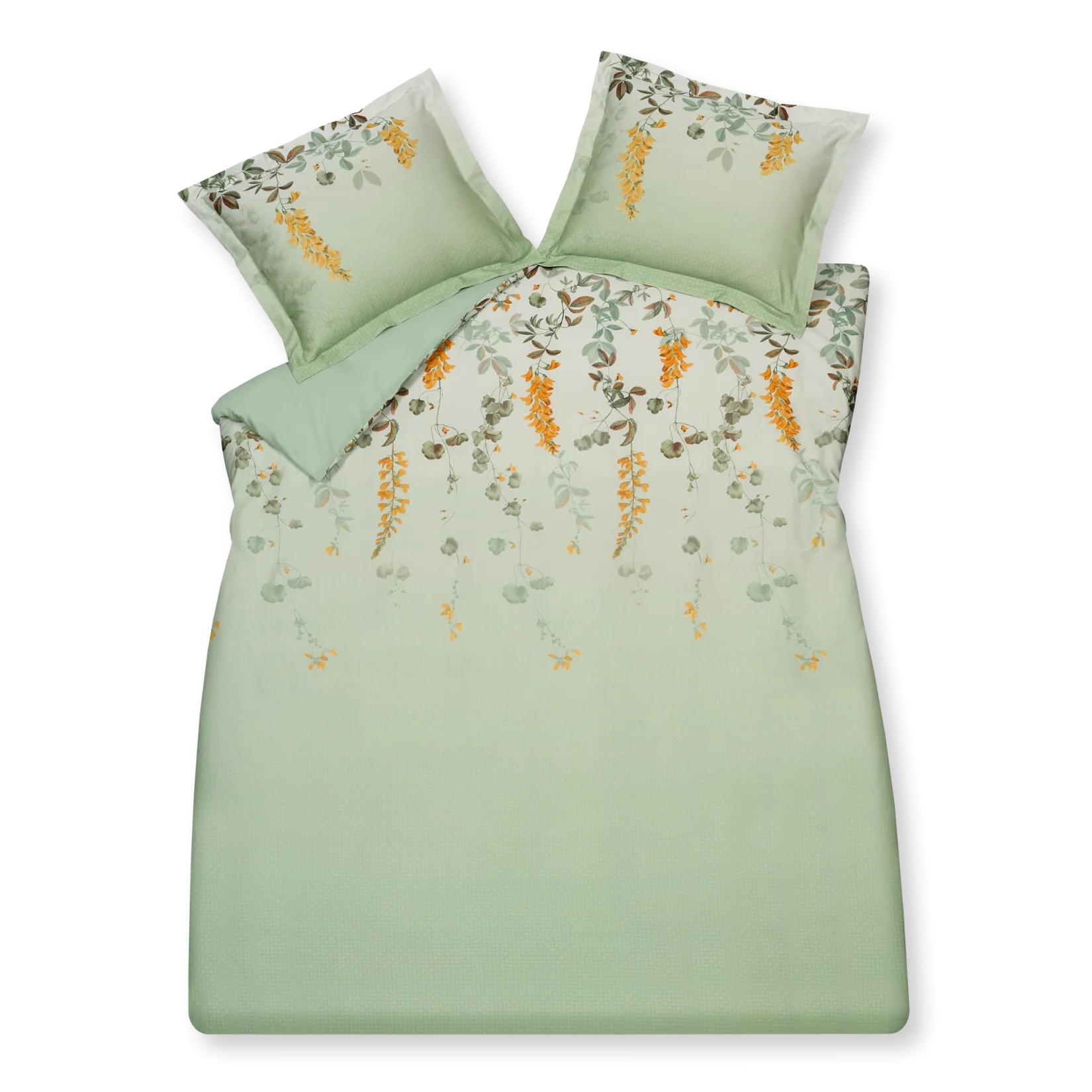Miniatuur 1